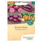 Bunte Bete - Bio-Samen online kaufen - Bingenheim Biosaatgut