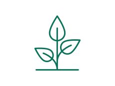 Blue lupin – buy organic seeds online - Bingenheim Online Shop
