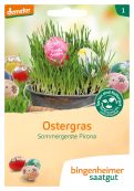 Ostergras – buy organic seeds online - Bingenheim Online Shop