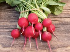 Cherry Belle – buy organic seeds online - Bingenheim Online Shop