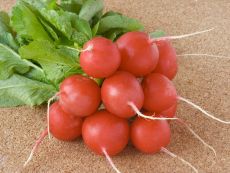 Marike – buy organic seeds online - Bingenheim Online Shop