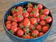 Rote Murmel – buy organic seeds online - Bingenheim Online Shop