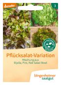 picking salad mix – buy organic seeds online - Bingenheim Online Shop