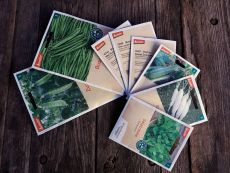 Seed collection easy vegetablegarden
