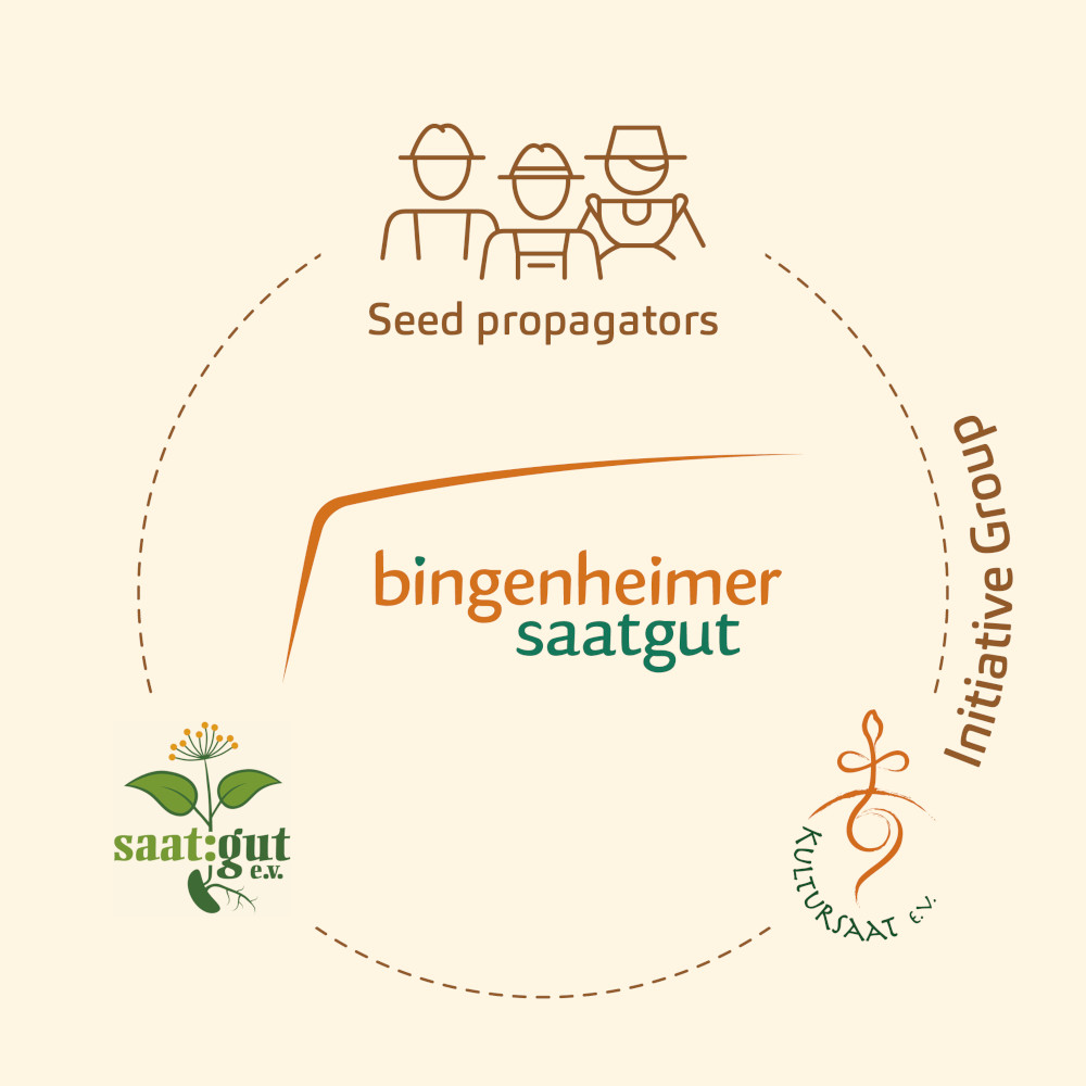 Diagram Seed initiative Group