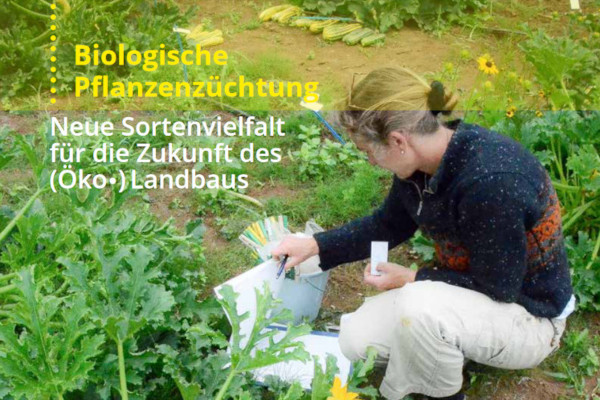 Profilpapier: Biologische Pflanzenzüchtung (PDF, 1.2 MB)